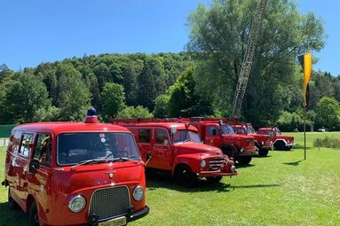 Mehrere historische rote Feuerwehrfahrzeuge stehen auf einer grünen Wiese in Reih und Glied. Im Hintergrund sind Bäume, ein bewaldeter Hang und eine ausgefahrene Drehleiter zu sehen. Bei strahlendem Sonnenschein präsentiert sich die Fahrzeugausstellung im Freien. | © Feuerwehr Oldtimerfreunde Mägerkingen 